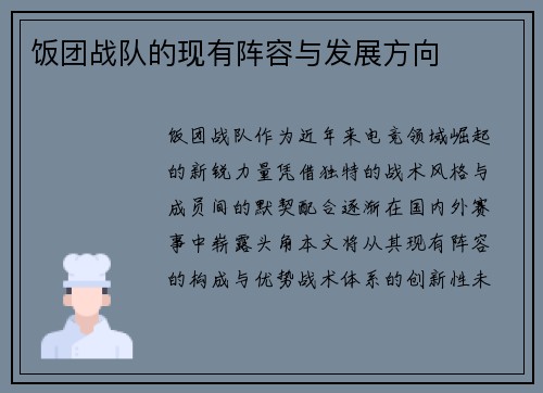 饭团战队的现有阵容与发展方向